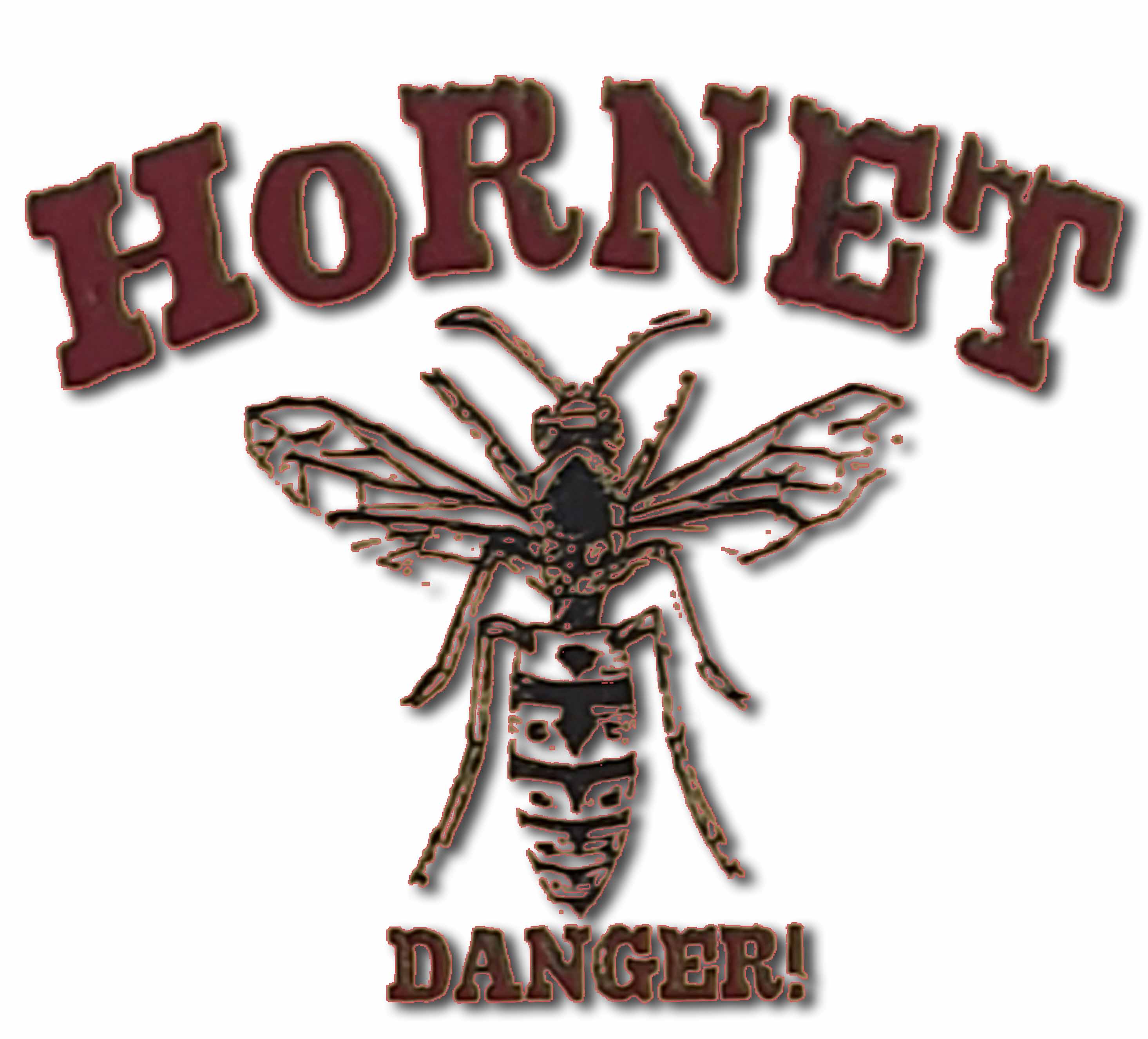 HORNET (China)