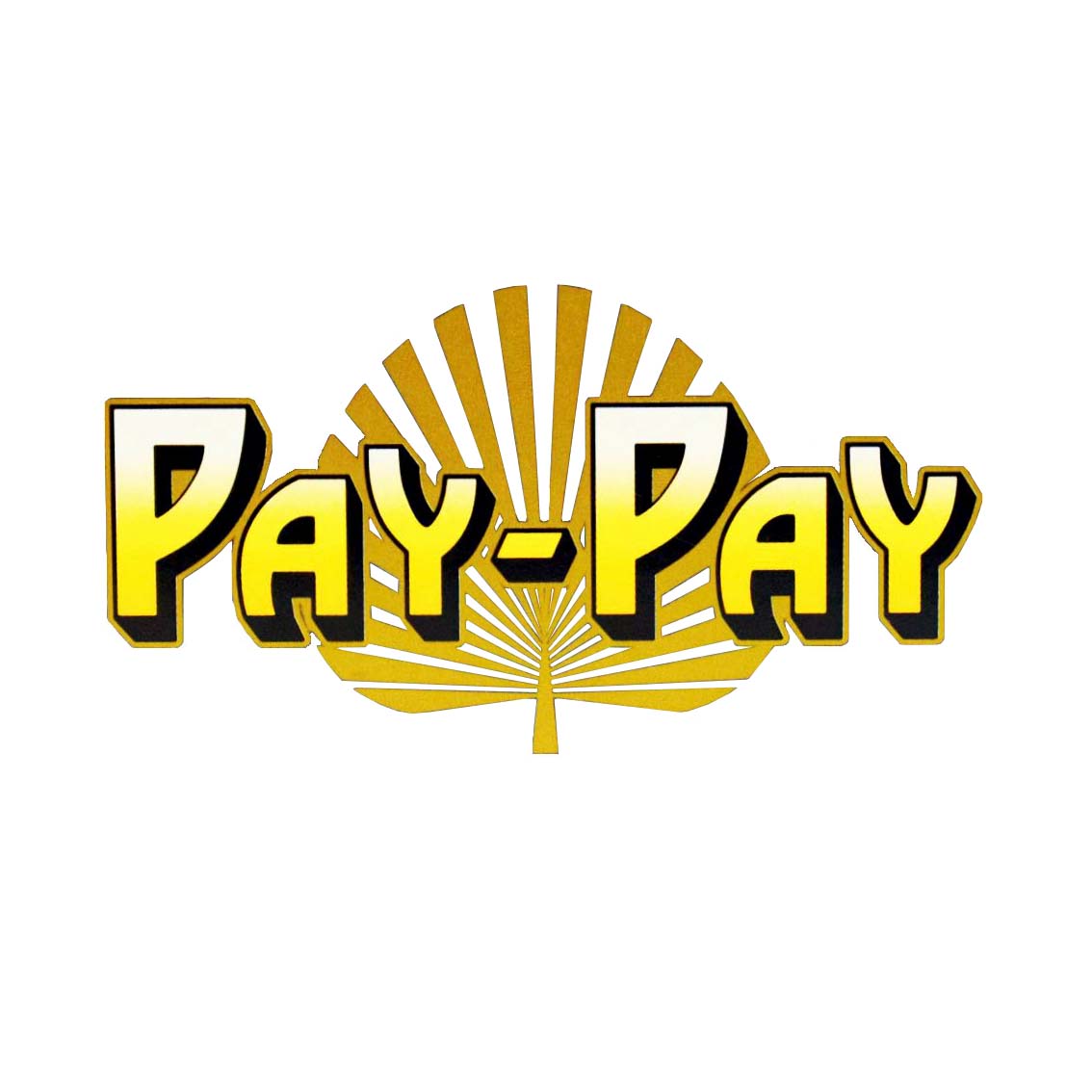 PAY-PAY (España)