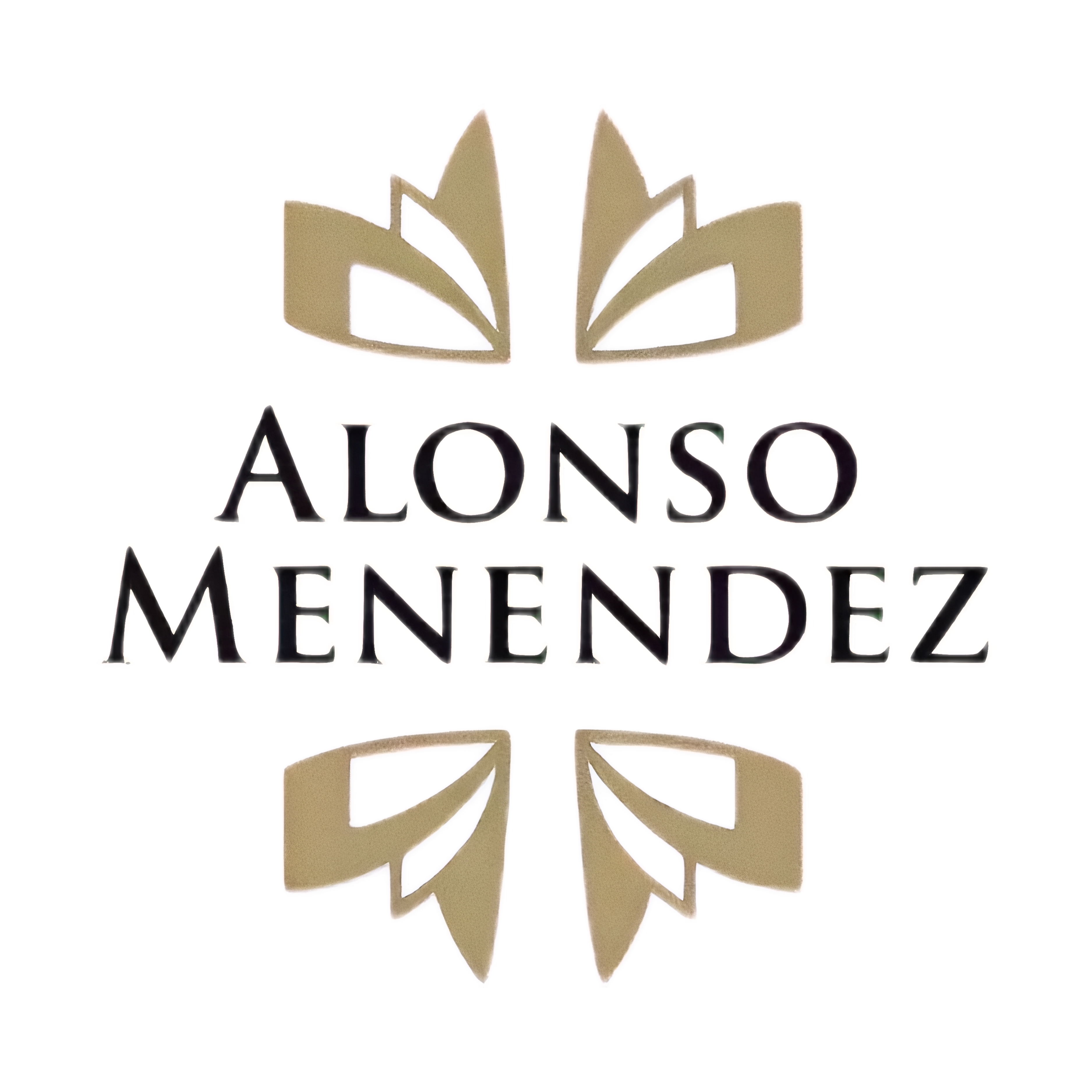 ALONSO MENENDEZ (Brasil)