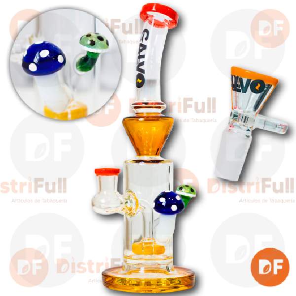 CALVO BONG VIDRIO DOUBLE FUNGUS YE (6235)