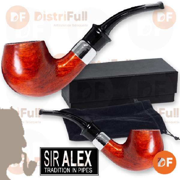 PIPA MADERA SIR ALEX GUIBOURTIA (SCP2407)
